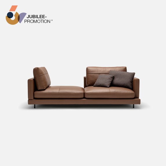 Rolf Benz Sina Sofas sofa